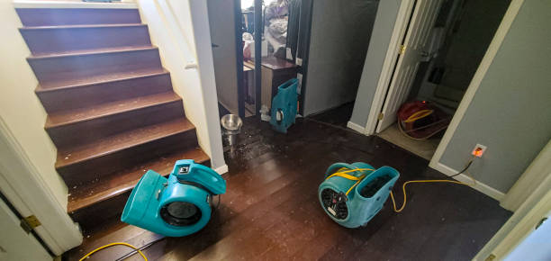 Best Flood damage cleanup  in North Amityville, NY