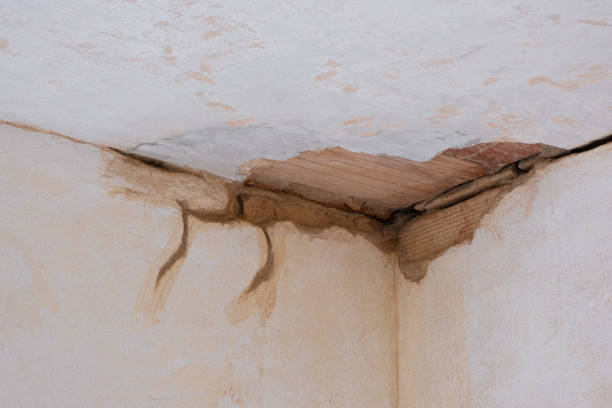 Best Water damage cleanup near me  in North Amityville, NY