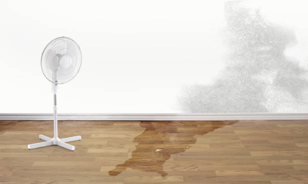 Best Sewage cleanup and water damage restoration  in North Amityville, NY