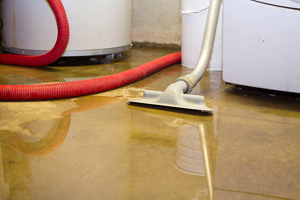 Best Commercial water damage restoration  in North Amityville, NY
