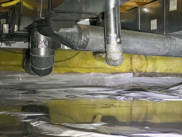 Best Ceiling water damage repair  in North Amityville, NY