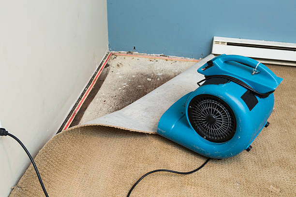Best Residential water damage restoration  in North Amityville, NY